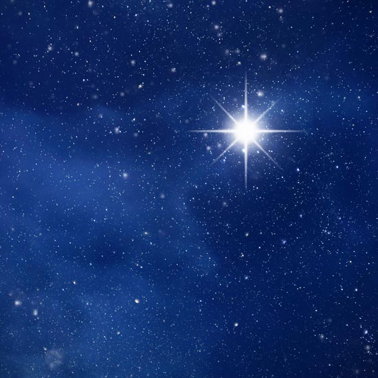 Shining north star in the night sky